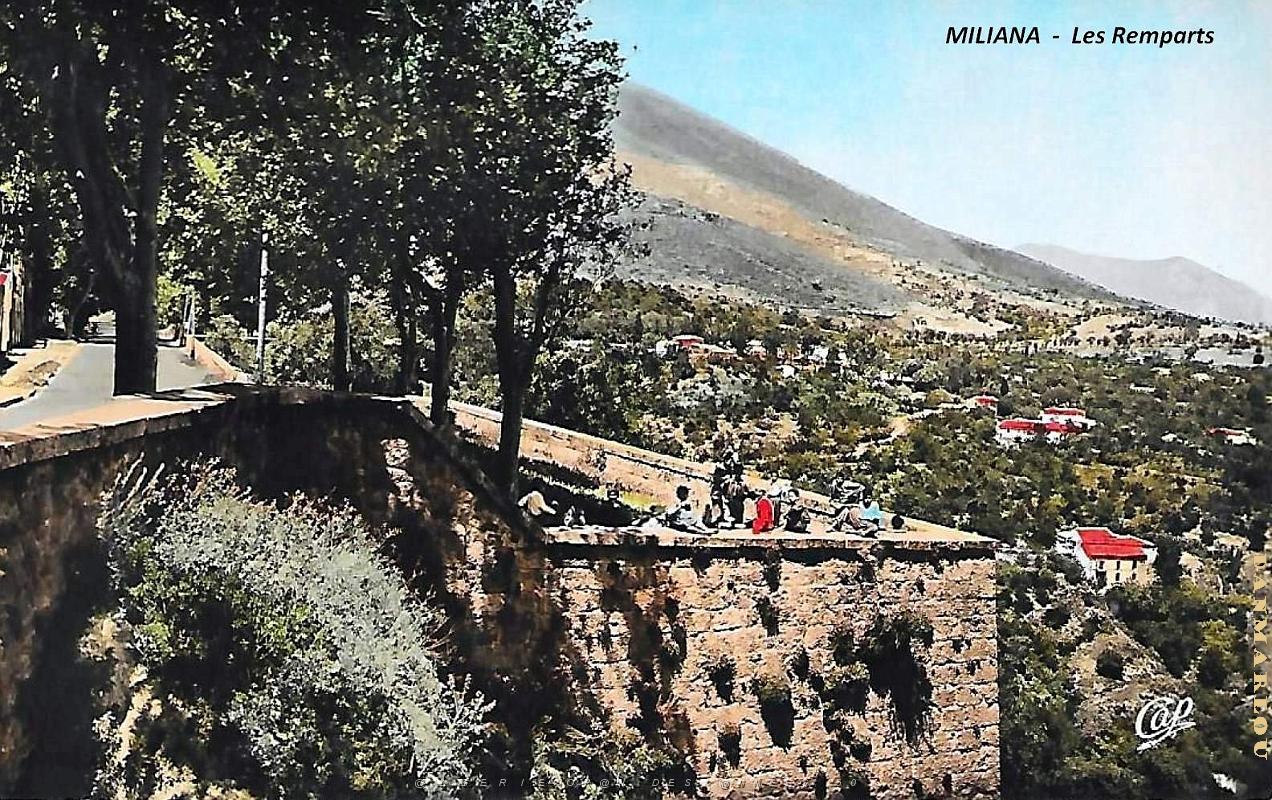 Miliana - Remparts.jpg